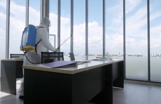 Bug Control What You Required to Know to Regulate Parasites Pest Control Adelaide